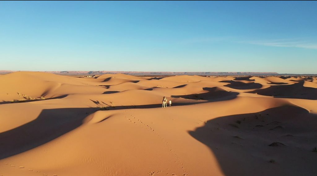 Luxury bivouac Merzouga desert sahara promotional video YAWK